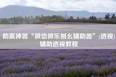 助赢神器“微信微乐刨幺辅助器”(透视)辅助透视教程