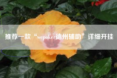 推荐一款“wepoker德州辅助”详细开挂