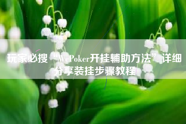 玩家必搜“WePoker开挂辅助方法	”详细分享装挂步骤教程