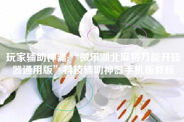 玩家辅助神器:“微乐湖北麻将万能开挂器通用版”科技辅助神器手机版教程