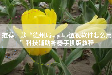 推荐一款“德州局wepoker透视软件怎么用”科技辅助神器手机版教程