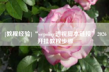 [教程经验]“wepoker透视脚本链接”2026开挂教程步骤