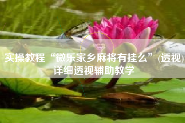 实操教程“微乐家乡麻将有挂么	”(透视)详细透视辅助教学