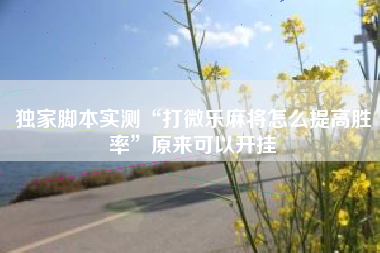 独家脚本实测“打微乐麻将怎么提高胜率”原来可以开挂