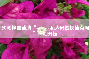 实测神器辅助“wepoker私人局透视挂有吗”详细开挂