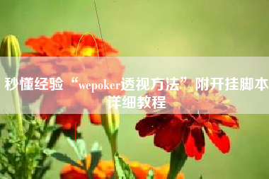 秒懂经验“wepoker透视方法”附开挂脚本详细教程
