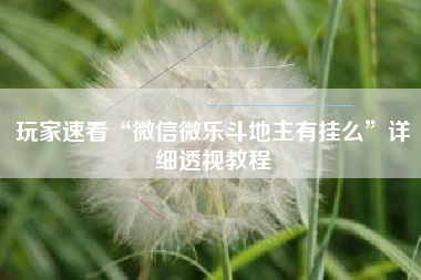 玩家速看“微信微乐斗地主有挂么”详细透视教程