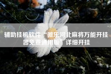 辅助挂机软件“微乐河北麻将万能开挂器免费通用版”详细开挂
