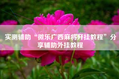 实测辅助“微乐广西麻将开挂教程	”分享辅助外挂教程