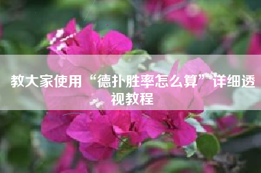 教大家使用“德扑胜率怎么算”详细透视教程