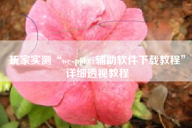 玩家实测“we-poker辅助软件下载教程”详细透视教程