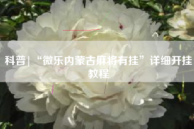 科普|“微乐内蒙古麻将有挂”详细开挂教程