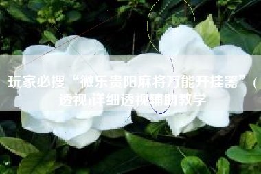 玩家必搜“微乐贵阳麻将万能开挂器”(透视)详细透视辅助教学