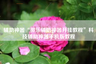 辅助神器“微乐辅助神器开挂教程”科技辅助神器手机版教程