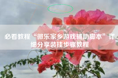 必看教程“微乐家乡游戏辅助脚本”详细分享装挂步骤教程