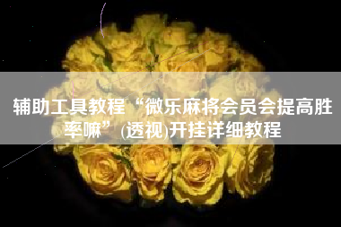 辅助工具教程“微乐麻将会员会提高胜率嘛”(透视)开挂详细教程