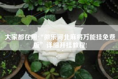 大家都在用“微乐河北麻将万能挂免费版	”详细开挂教程!