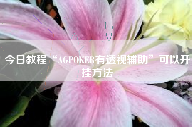 今日教程“AGPOKER有透视辅助	”可以开挂方法