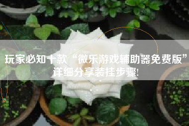 玩家必知十款“微乐游戏辅助器免费版”详细分享装挂步骤!