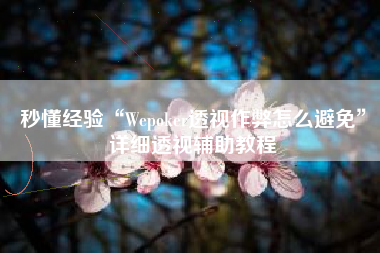 秒懂经验“Wepoker透视作弊怎么避免	”详细透视辅助教程