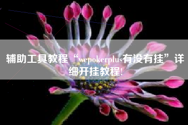 辅助工具教程“wepokerplus有没有挂”详细开挂教程!
