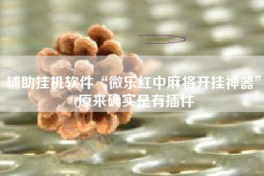 辅助挂机软件“微乐红中麻将开挂神器”(原来确实是有插件