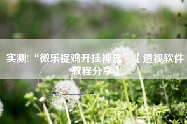 实测!“微乐捉鸡开挂神器”【透视软件教程分享】