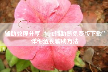 辅助教程分享“wpk辅助器免费版下载”详细透视辅助方法