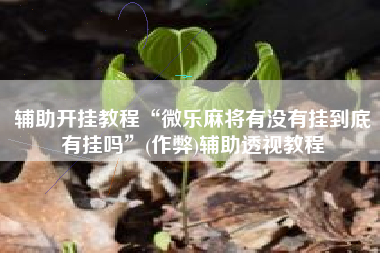 辅助开挂教程“微乐麻将有没有挂到底有挂吗	”(作弊)辅助透视教程