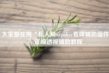 大家都在用“私人局wepoker看牌辅助插件	”详细透视辅助教程