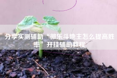 分享实测辅助“微乐斗地主怎么提高胜率”开挂辅助教程