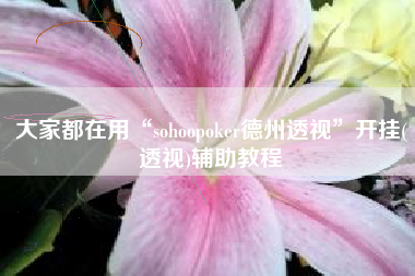 大家都在用“sohoopoker德州透视	”开挂(透视)辅助教程