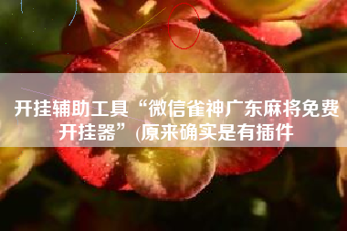 开挂辅助工具“微信雀神广东麻将免费开挂器”(原来确实是有插件