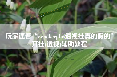 玩家速看“wepokerplus透视挂真的假的”开挂(透视)辅助教程