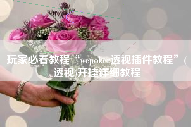 玩家必看教程“wepoker透视插件教程	”(透视)开挂详细教程