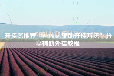 开挂器推荐“WePoker辅助开挂方法”分享辅助外挂教程