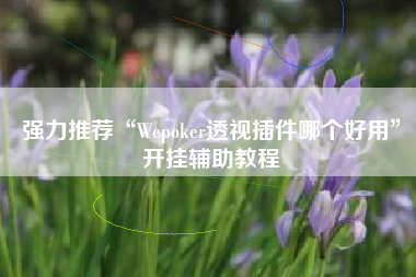 强力推荐“Wepoker透视插件哪个好用	”开挂辅助教程