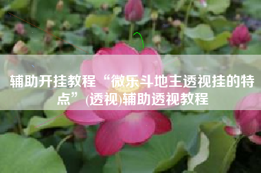 辅助开挂教程“微乐斗地主透视挂的特点”(透视)辅助透视教程 辅助开挂教程“微乐斗地主透视挂的特点”(透视)辅助透视教程