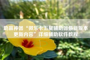 助赢神器“微乐卡五星辅助器最新版本更新内容”详细辅助软件教程