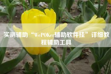实测辅助“WePOKer辅助软件挂	”详细教程辅助工具