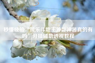 秒懂经验“微乐斗地主外卦神器真的有吗”开挂辅助透视教程