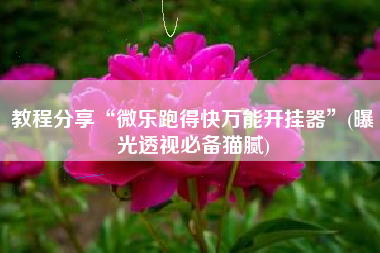 教程分享“微乐跑得快万能开挂器	”(曝光透视必备猫腻)