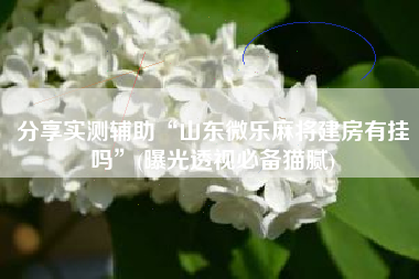 分享实测辅助“山东微乐麻将建房有挂吗	”(曝光透视必备猫腻)