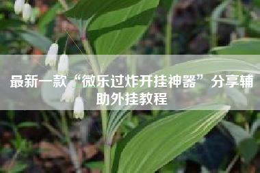 最新一款“微乐过炸开挂神器	”分享辅助外挂教程