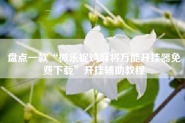 盘点一款“微乐捉鸡麻将万能开挂器免费下载”开挂辅助教程