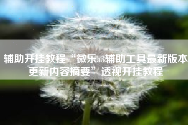 辅助开挂教程“微乐a3辅助工具最新版本更新内容摘要”透视开挂教程
