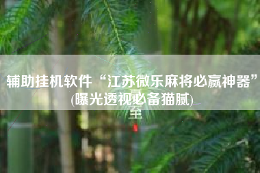 辅助挂机软件“江苏微乐麻将必赢神器”(曝光透视必备猫腻)
