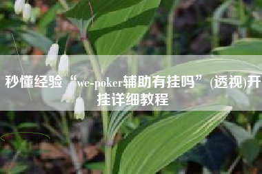 秒懂经验“we-poker辅助有挂吗”(透视)开挂详细教程