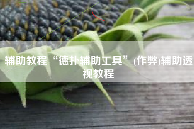 辅助教程“德扑辅助工具”(作弊)辅助透视教程 辅助教程“德扑辅助工具”(作弊)辅助透视教程