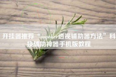 开挂器推荐“aapoker透视辅助器方法	”科技辅助神器手机版教程